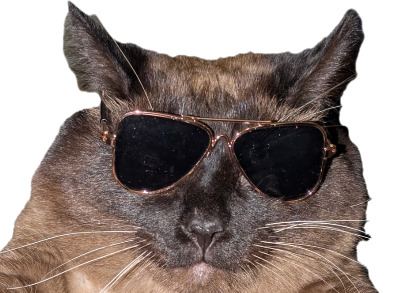 Bob with glasses